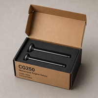 Kit de soupapes d'admission et d'échappement pour moto, compatible avec le modèle CG250 de type court, pour moteurs Honda CG250 série 4 temps