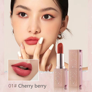 Rouge à lèvres mat pigmenté de haute qualité <span class=keywords><strong>Polina</strong></span> Luxury Chemical Makeup, imperméable, 6 couleurs, pour femmes, marque privée, certifié MSDS - Product Image 3