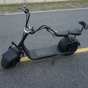 Simple Precio Barato Moto Citycoco Electric Ciclomotor