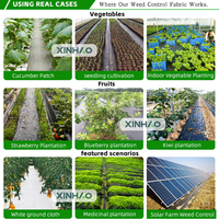 1*100m Couvre-sol Anti-Grass Mesh Weed Barrier Landscape Fabric Agricultural Plastic Weed Control Mat Roll