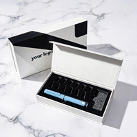 Custodia da Viaggio Magnetica Antiurto per Applicatori Cosmetici, Scatola Organizer Rigida di Lusso per Penne con Stampa Logo Personalizzata