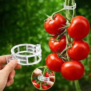 Clips de support pour plantes en plastique PP transparents de 24 mm, réutilisables, pour tomates, concombres, vignes, légumes, treillis en serre - Product Image 1