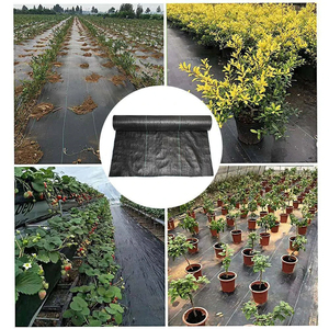 Dệt/không dệt nông nghiệp vải PET/PP che phủ mặt đất vải cho Làm Vườn đất ẩm & Phân bón chống cỏ - Product Image 6