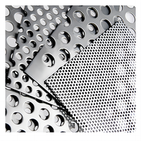 Tamis en acier inoxydable perforé pour grains de café / tamis à grains
