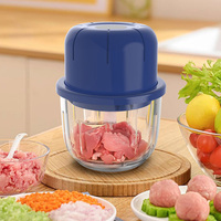 Fabrieksmodel 350ml Mini Elektrische Groentehakker PP & Glazen Kom Beschikbaar 6 Scherpe Messen Draagbare Babyvoedselhakker voor Knoflook