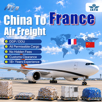 Agent certifié IATA, service de logistique chinoise mondiale, support logistique depuis la Chine, Shenzhen vers la France, transitaire aérien