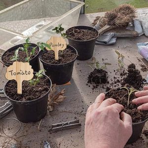 Touchfive — marqueurs de plantes écologiques à types d'arbre, pour graines, herbes en pot, fleurs et légumes, étiquettes de plantes en bambou - Product Image 4