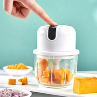 Mini Mixeur Presse-Agrumes Électrique Portable Multifonction Rechargeable avec Port USB pour Usage Domestique et Hôtelier