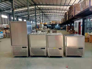 Congelatore a spirale usato rapido dei frutti di mare piccolo congelatore rapido dell'attrezzatura di congelamento dell'acciaio inossidabile per tonno - Product Image 2