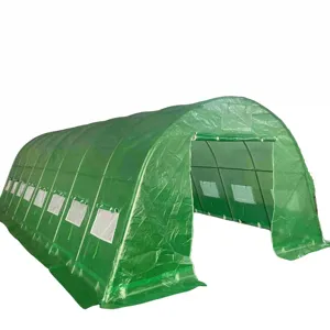 China Manufacturer Direct Wholesale Indoor And Outdoor Plants Horticultural Greenhouse Mini Tunnel Greenhouse