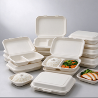 Boîte à lunch biodégradable en bagasse, conteneur à clapet à 2 compartiments avec couvercle, emballage alimentaire jetable pour restaurant à emporter