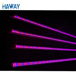 Ventes d'usine Rouge <span class=keywords><strong>et</strong></span> Bleu T10 28W <span class=keywords><strong>Lampe</strong></span> de <span class=keywords><strong>croissance</strong></span> de Tube 4ft 1.2m A CONDUIT LA Plante à Pousser La Lumière pour Intérieur la <span class=keywords><strong>Croissance</strong></span> des plantes - Product Image 3