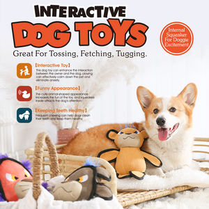 Nieuwe Designer Groothandel Custom Kauwbare Piep <span class=keywords><strong>Canvas</strong></span> Katoen Knuffel Hond Speelgoed - Product Image 2