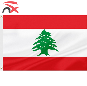 Chaud Liban Drapeau National Ensemble Cadeaux <span class=keywords><strong>Libanais</strong></span> Main Agitant Chaîne Drapeau Pin Collier Bracelet Écharpe Broche pour la Promotion - Product Image 2