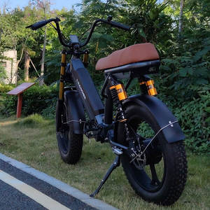 E Bicycle <span class=keywords><strong>750</strong></span> Watt Usa <span class=keywords><strong>750</strong></span> w Pit Eu Entrepôt Sur Ron Enduro Ebike Dirt Electric Mountain Bike - Product Image 3