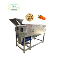 Industriële continue gemotoriseerde roestvrijstalen was- en schilmachine voor fruit, groenten, maïs, zoete aardappel, taro en kiwi (aanbieding)