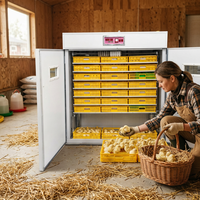 Nouvel incubateur et éclosoir automatique à retournement d'œufs haute productivité 1848 avec alimentation 220V pour usage en élevage avicole