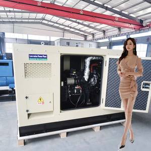 Serie Tipo silencioso 50kVA Generadores diesel 11kw Generador diesel - Product Image 6