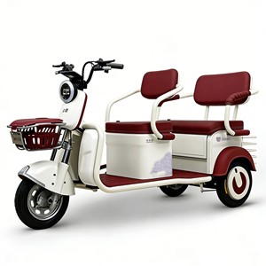 Triciclo con Suspensión Mejorada y Batería de Alta Potencia para un Transporte Eficiente - Product Image 3