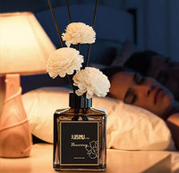 Base de diffuseur de parfum ODIS Professional Grade Augeo pour mélange d'huiles parfumées, livraison rapide dans le monde entier
