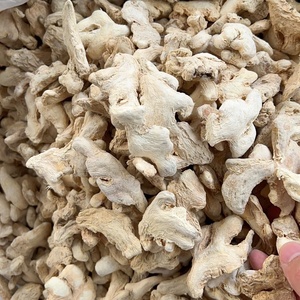 En Çok Satan Premium Ham Kurutulmuş Zencefil Bütün Güçlü Aromalı Yemeklik Bitkisel Çaylar Doğal Baharatlar Beyaz Guangxi Çin Fabrikasından - Product Image 4