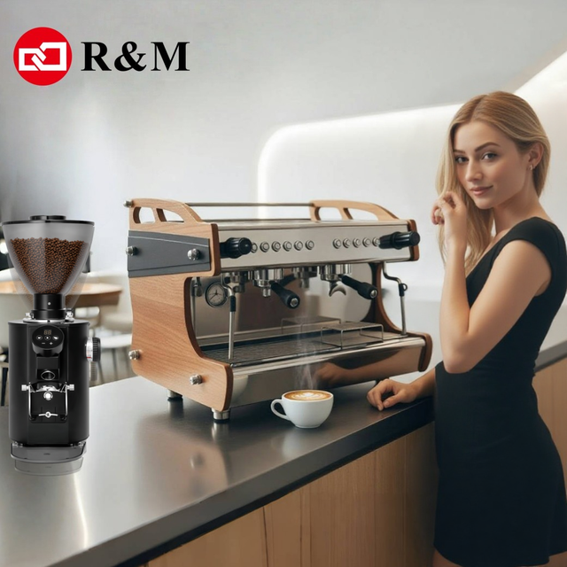 Cafe COMMERCIAL Barista 2 Head Professional Semi-Automatic Espresso Maker Coffee Machine 9 Bars Stainless Steel RV Car Hotel Use