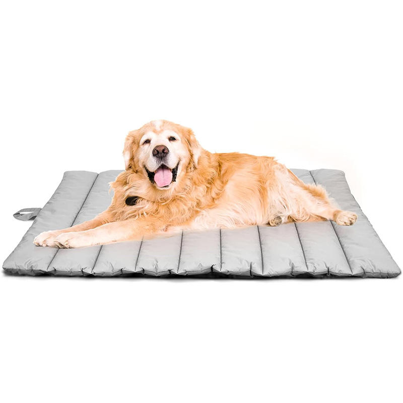 สีเทาอ่อน