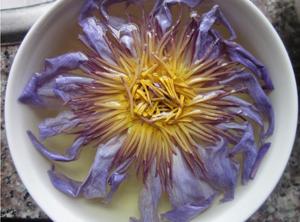 Paquet personnalisé egypte Nymphaea fleur de Lotus bleu séchée naturelle pour le thé - Product Image 3