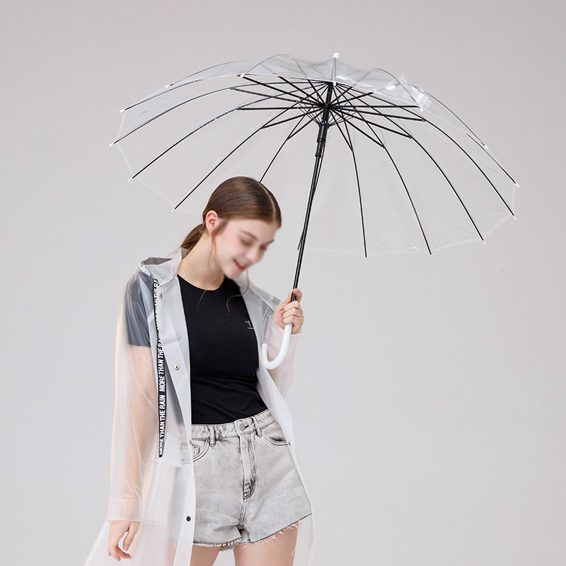 cadre en fer blanc transparent