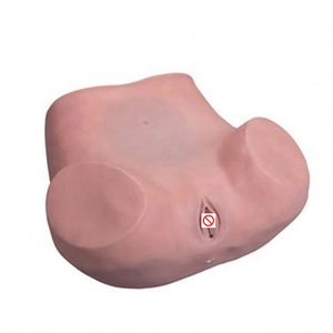 Modelo anatómico realista de proveedores de China, modelo de <span class=keywords><strong>entrenamiento</strong></span> vívido con modelo de examen ginecológico para <span class=keywords><strong>entrenamiento</strong></span> médico - Product Image 2