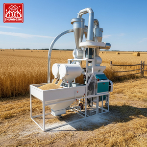 Molino Compacto para Producción de Harina de Trigo, Maíz y Granos de Desayuno, Capacidad de 5 Toneladas por Día, Ideal para Pequeñas Empresas - Product Image 3