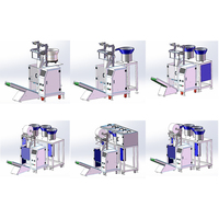 Entièrement automatique clou produit vis matériel comptage pesage Machine à emballer Machines à sceller écrous boîte Guangdong remplissage 300