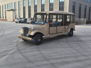Voiture électrique vintage dorée de luxe pour le tourisme, design élégant, garantie 1 an, meilleur prix - Product Image 6
