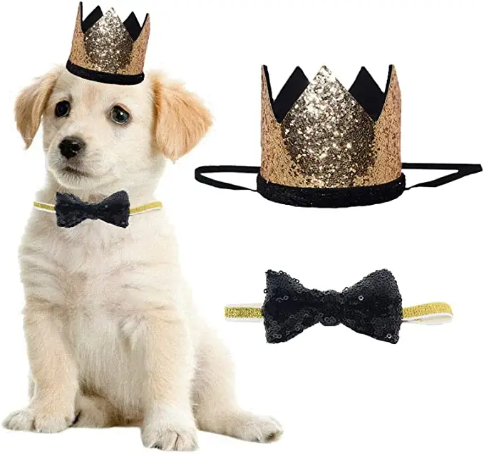 犬猫の誕生日パーティー用品のためのホットセールかわいいペットバースデークラウンハットと蝶ネクタイカラーセット
