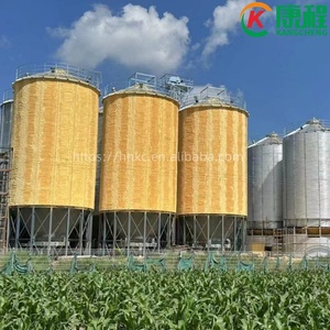 Petit silo à grain en acier galvanisé ondulé, 100 à 1000 tonnes, contrôle numérique, <span class=keywords><strong>bac</strong></span> <span class=keywords><strong>de</strong></span> <span class=keywords><strong>stockage</strong></span> d'aliments à vendre - Product Image 3