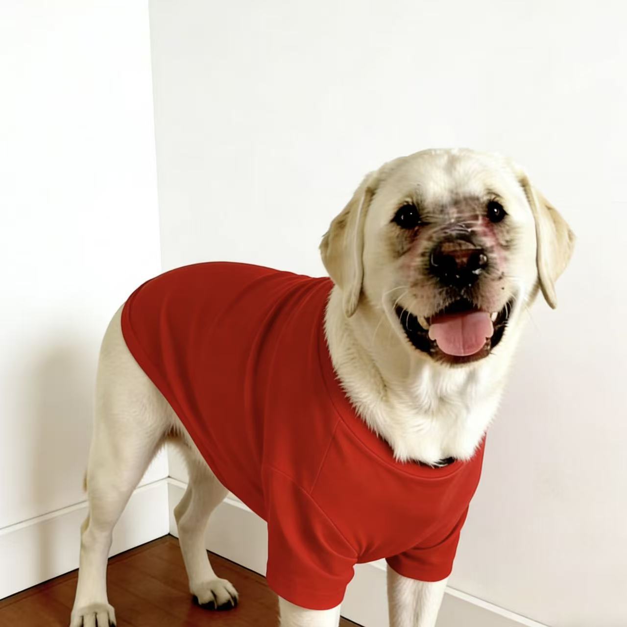 Rojo