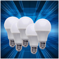 Vente en gros d'ampoules AC DC Ampoule étanche IP65 Focos Led Ampoules Led d'intérieur