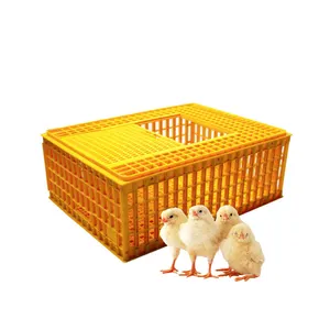 Jaula de plástico Pvc Para transporte de pollos, equipo de granja de plástico Para Ponedora