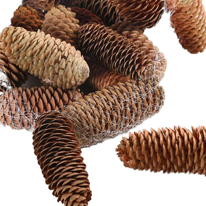 Adornos para árboles de Navidad de cono de pino grande, suministros de decoración de flores secas de estilo clásico, materiales artesanales duraderos DIY - Product Image 1