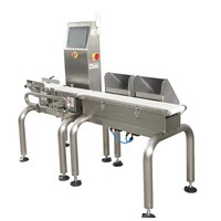 Báscula de Control de Peso Automática de Alta Velocidad para Líneas de Producción de Envasado de Snacks, Dulces, Productos de Panadería, Frutos Secos y Alimentos Embotellados
