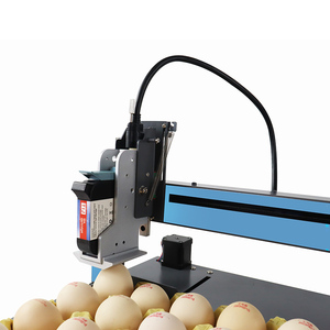 Hühnerei-Drucker Hühnerschalen-Tinten strahl drucker Ei-Barcode-Stempel maschine Touchscreen-Eierbuchstaben-Codier maschine - Product Image 2