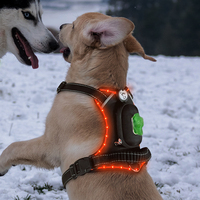 Harnais de chien de lampe de corde de broderie de lueur de LED en gros d'usine avec la boîte de magasin fécale pour promener le chien la nuit