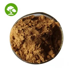 High Quality Natural Moringa Powder Moringa Leaf Extract