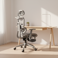Chaises de bureau ergonomiques en maille, chaise de travail pour ordinateur avec dossier à niveaux et repose-pieds, vente en gros pour mobilier de bureau à domicile
