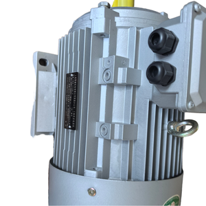 มอเตอร์อะซิงโครนัสสามเฟส YS Y2-YE3-100L1-2.2KW-4 - Product Image 2