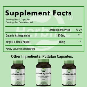 OEM Gran Venta - Personalizable - Ashwagandha Orgánica con Pimienta Negra - 180 Cápsulas - Fortalece para el Estrés, el Sueño y el Estado de Ánimo - Product Image 3