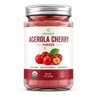 Poudre de cerise Acerola FVP-5 Premium 100% soluble dans l'eau, poudre de fruit de cerise instantanée riche en vitamine C pour les boissons et les aliments
