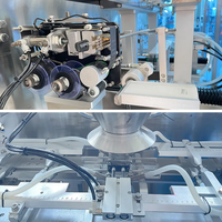 Machine automatique de remplissage de sachets liquides pour pâte de tomate, mayonnaise, jus, Doypack, bec, debout