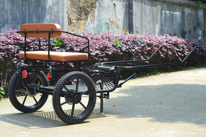 Chariot à chevaux, chariot miniature à vendre, chariot à chevaux en aluminium à deux roues, chariot miniature à vendre, deux roues, petit modèle - Product Image 4