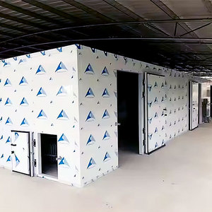 Nấm trồng trọt và phát triển đúc sẵn phòng lạnh lưu trữ đi bộ trong mát cho trang trại nấm - Product Image 3